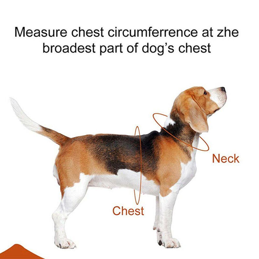Padded Adjustable For Medium And Large Dogs Collar Chest Strap Pet Dog Harness Reflective vest
Padded Adjustable For Medium And Large Dogs Collar Chest Strap Pet Dog Harness Reflective vest