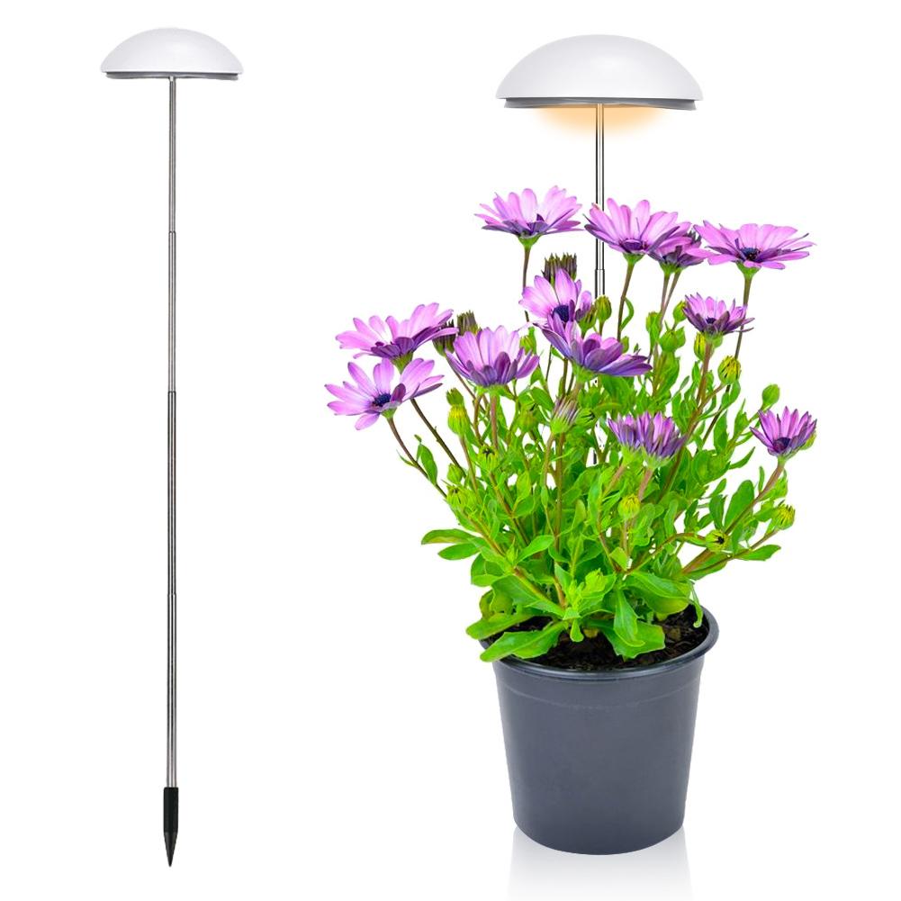 Full Spectrum Grow Lights with Auto On/Off Timer Plant Growing Lamp Height Adjustable for Plants Flowers Greenhouse Hydroponic China Mainland
Full Spectrum Grow Lights with Auto On/Off Timer Plant Growing Lamp Height Adjustable for Plants Flowers Greenhouse Hydroponic China Mainland