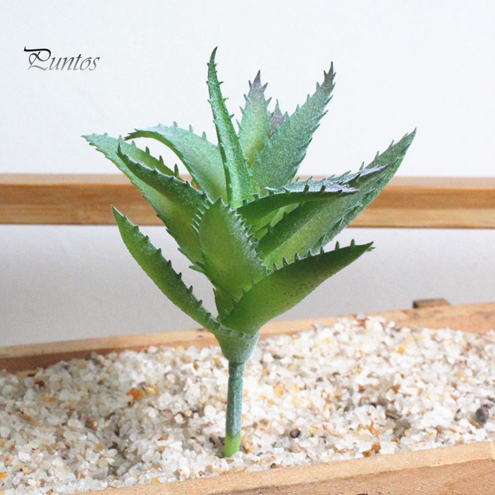 Искусственный DIY домашний декор композиция 1 шт суккулентное растение поддельное алоэ реалистичное зелёный
Искусственный DIY домашний декор композиция 1 шт суккулентное растение поддельное алоэ реалистичное зелёный