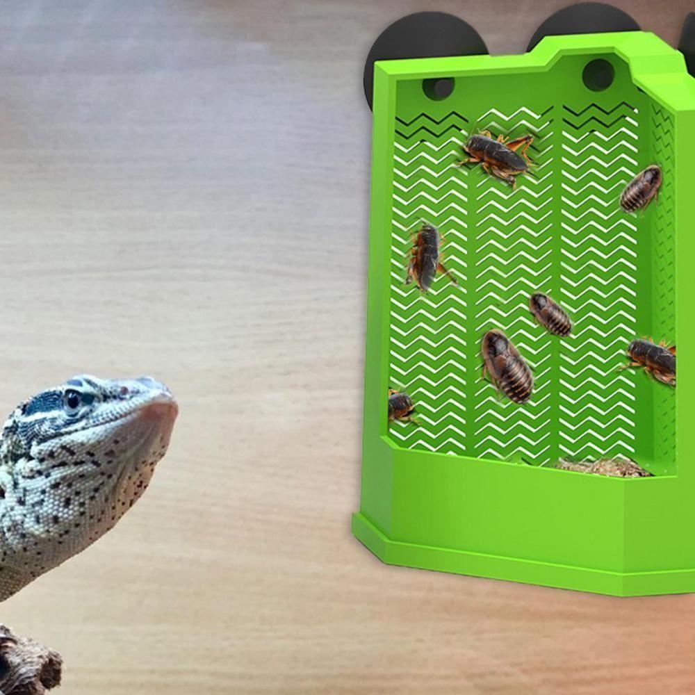 With Suction Cornered Feeding Dish Wall Mounted Reptiles Feeder Box Reptiles Feeder Outdoor S
With Suction Cornered Feeding Dish Wall Mounted Reptiles Feeder Box Reptiles Feeder Outdoor S