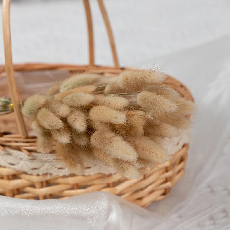 60-Piece Fluffy Rabbit Tail Grass Dried Flower Bouquet Wedding & Christmas Decor Natural Pampas Grass Bohemian Home Decor
60-Piece Fluffy Rabbit Tail Grass Dried Flower Bouquet Wedding & Christmas Decor Natural Pampas Grass Bohemian Home Decor