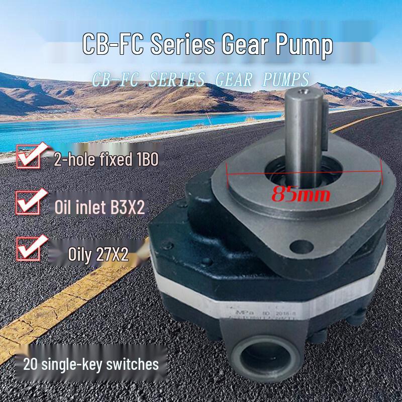 Cloud Rudder Hydraulic Gear Pump
Cloud Rudder Hydraulic Gear Pump