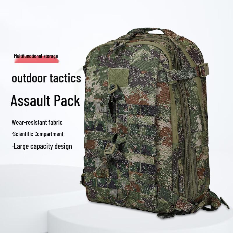 Tactical Camouflage Assault Backpack
Tactical Camouflage Assault Backpack