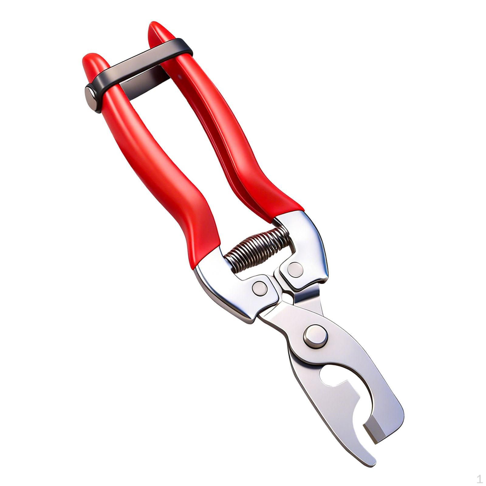 Budding Girdling Pruner Pruning Shear,Comfortable Handle,Spring Loaded Professional Gardening Shears
Budding Girdling Pruner Pruning Shear,Comfortable Handle,Spring Loaded Professional Gardening Shears