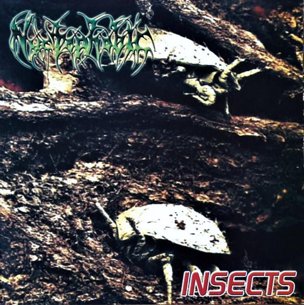 LP Record NYCTOPHOBIC Insects RSR029 Regurgitated Se 2001 Germany Rock Used
LP Record NYCTOPHOBIC Insects RSR029 Regurgitated Se 2001 Germany Rock Used