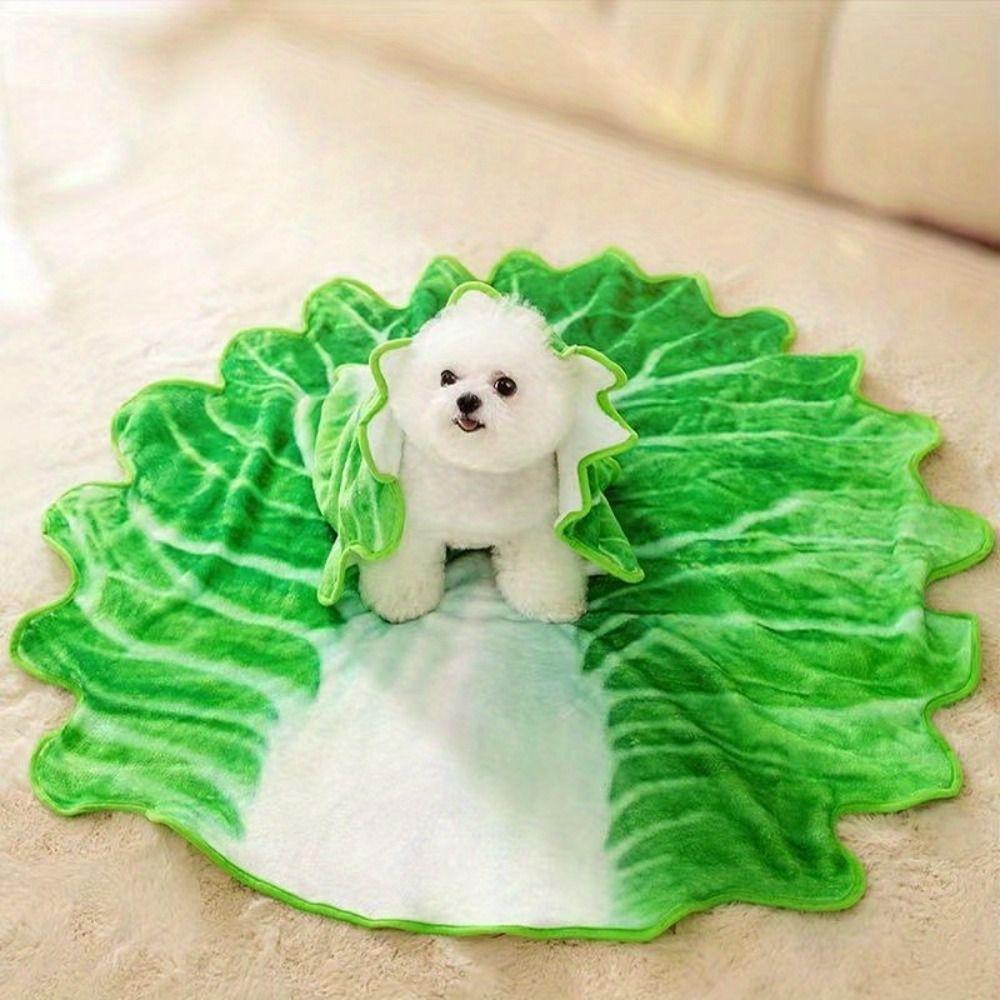 Warm Cabbage Flannel Blanket Multifunctional Creativity Plush Blanket Nap Blanket Sofa 85x85cm
Warm Cabbage Flannel Blanket Multifunctional Creativity Plush Blanket Nap Blanket Sofa 85x85cm