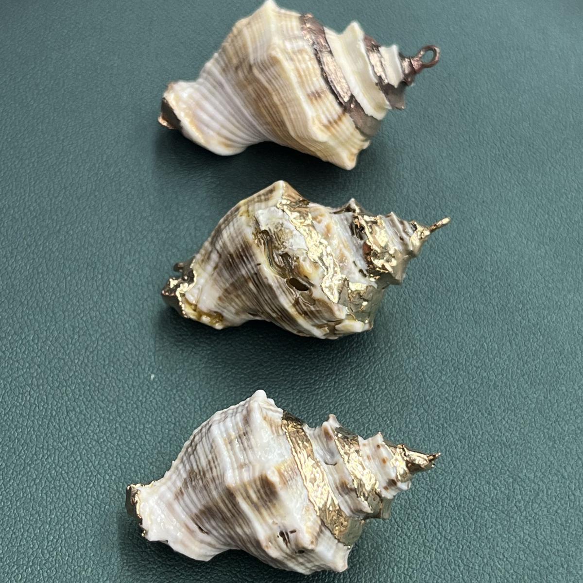 3Pcs, Natural Shell Conch Pendant, Ocean Style Irregular Charms for Jewelry Making DIY Necklace Accessories, Creative Home Decor Supplies 3Pcs/18×30-20×38mm
3Pcs, Natural Shell Conch Pendant, Ocean Style Irregular Charms for Jewelry Making DIY Necklace Accessories, Creative Home Decor Supplies 3Pcs/18×30-20×38mm