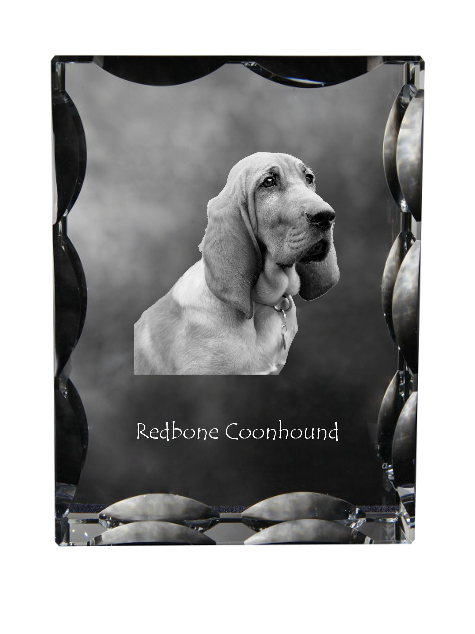 Redbone Coonhound - crystal with a picture of a dog, glass statuette with a picture, unique frame with a picture from Art-Dog brand прозорий
Redbone Coonhound - crystal with a picture of a dog, glass statuette with a picture, unique frame with a picture from Art-Dog brand прозорий