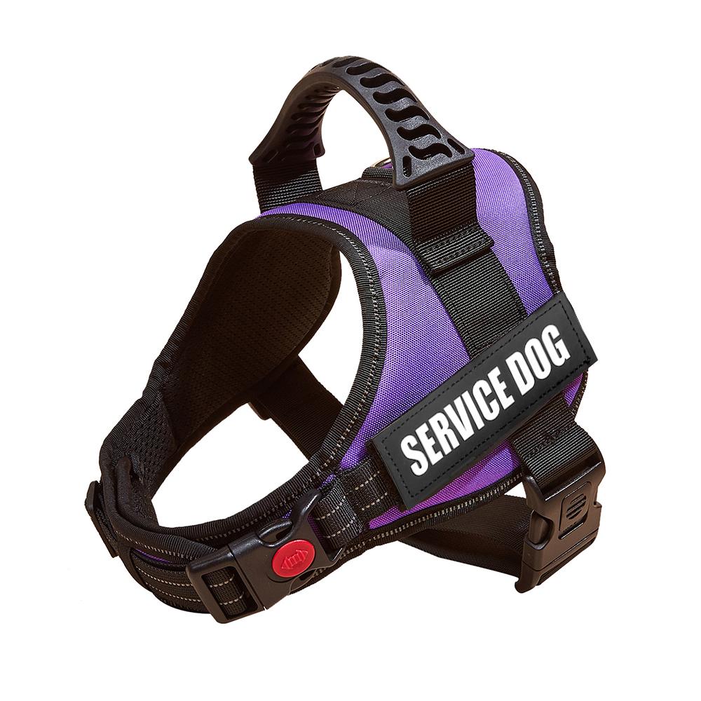 Dogs Harness Solid Purple Mesh Lining Comfortable Reflection Pet Dog Leash Harnesses Puppy Medium And Large Walking Dog Sports XXS фиолетовый
Dogs Harness Solid Purple Mesh Lining Comfortable Reflection Pet Dog Leash Harnesses Puppy Medium And Large Walking Dog Sports XXS фиолетовый