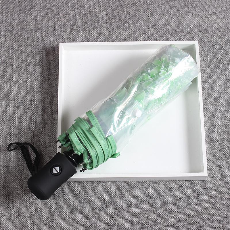 Cherry Blossom Transparent Folding Umbrella - Thickened, Three-Fold Design for Couples and Individuals One Size
Cherry Blossom Transparent Folding Umbrella - Thickened, Three-Fold Design for Couples and Individuals One Size