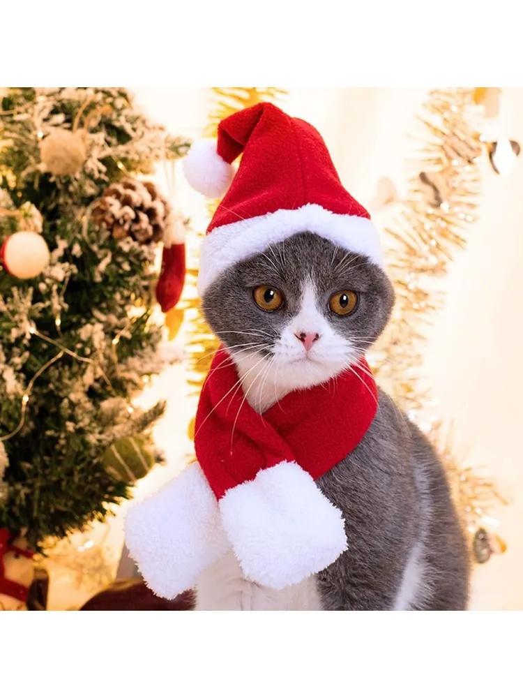 Шапка для питомца, Накидка на голову, Шапка из вязаной шерсти, Теплая ветрозащитная шапка для большой собаки S красный
Шапка для питомца, Накидка на голову, Шапка из вязаной шерсти, Теплая ветрозащитная шапка для большой собаки S красный