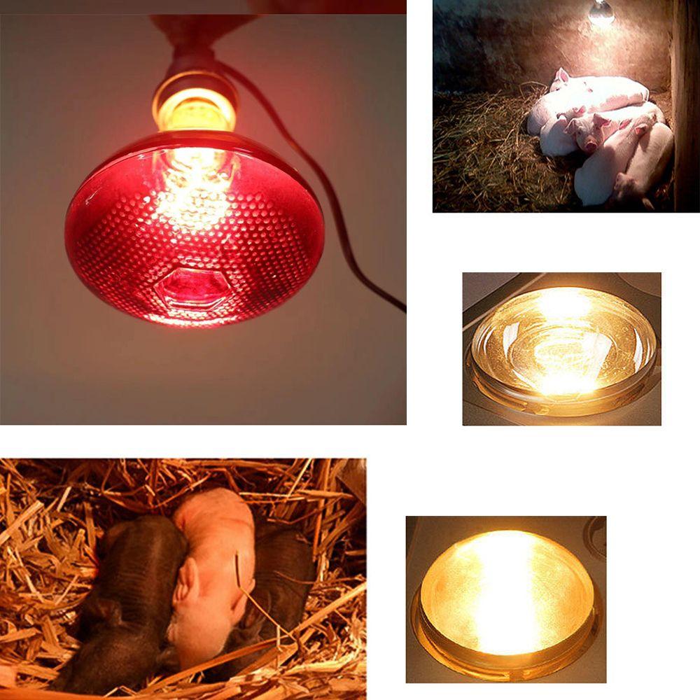 Infrared Heating Light Puppies Thicken Heat Lamp Farming Lampshade Heating Lampshade RED Heat Lamp Red Glossy
Infrared Heating Light Puppies Thicken Heat Lamp Farming Lampshade Heating Lampshade RED Heat Lamp Red Glossy