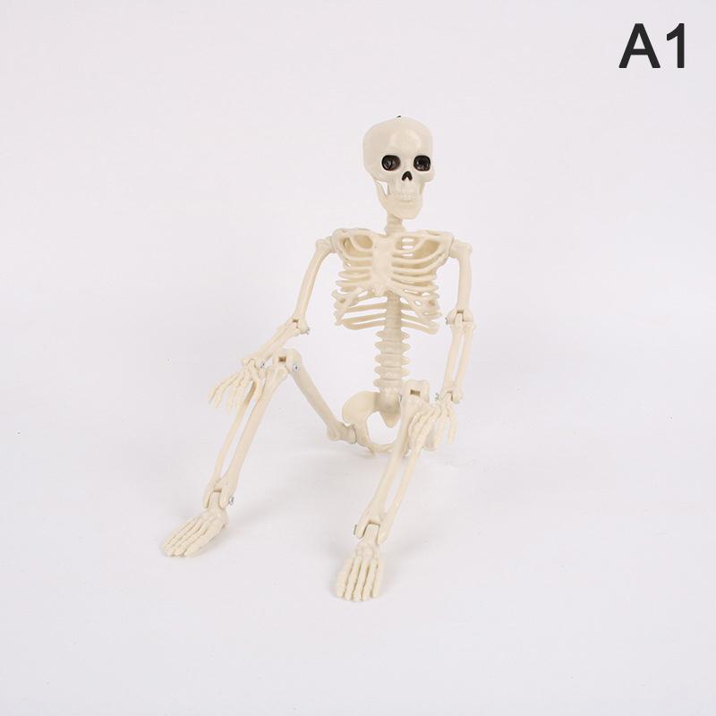 Halloween Human Bones Skeleton Posable Joints Groom Bride Halloween Decoration A1
Halloween Human Bones Skeleton Posable Joints Groom Bride Halloween Decoration A1