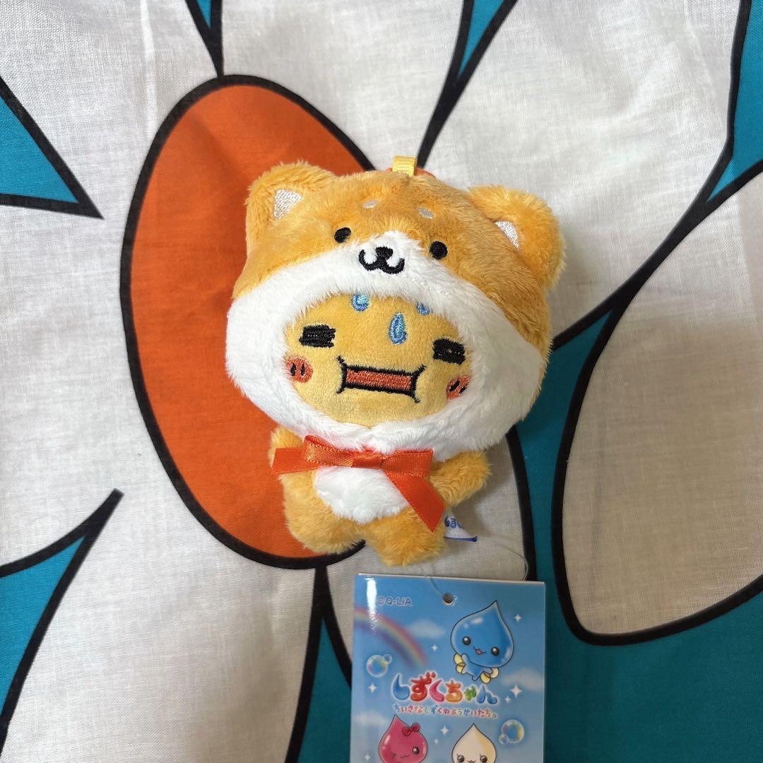 Shizuku-chan POPUP Costume Mascot Aseo-kun Keychain
Shizuku-chan POPUP Costume Mascot Aseo-kun Keychain
