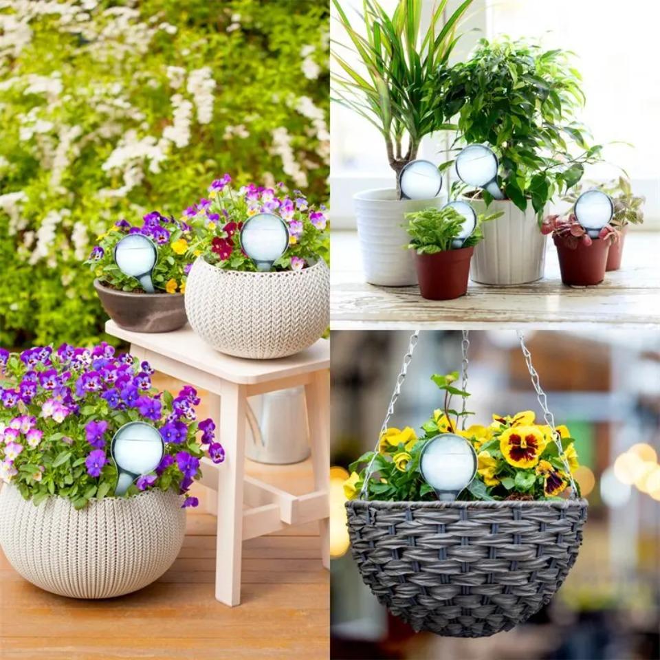 5 шт. автоматическая подача воды для растений, пластиковые шарики, Tuinwaterapparaat Planten Gloeilampen Zelf Waterende Druppelirrigatie синий
5 шт. автоматическая подача воды для растений, пластиковые шарики, Tuinwaterapparaat Planten Gloeilampen Zelf Waterende Druppelirrigatie синий