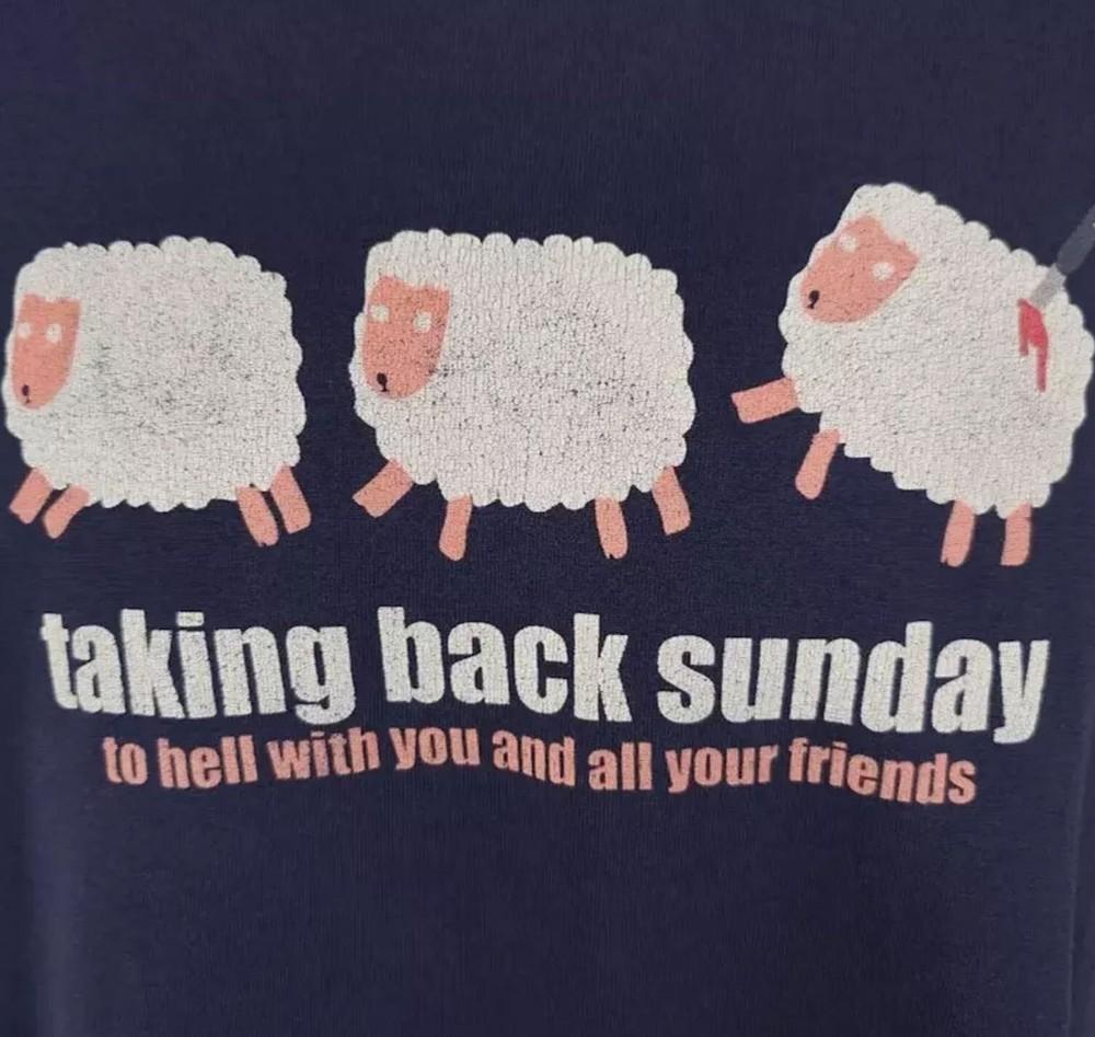 VTG Taking Back Sunday T Shirt Short Sleeve Black All Size Shirt 4XL
VTG Taking Back Sunday T Shirt Short Sleeve Black All Size Shirt 4XL