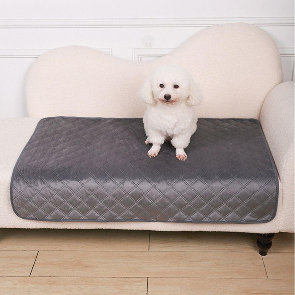 Absorbent Pet Diaper Pad Non-Slip Pet Training Pad Practical Pet Urine Pad for Dog S чорний
Absorbent Pet Diaper Pad Non-Slip Pet Training Pad Practical Pet Urine Pad for Dog S чорний