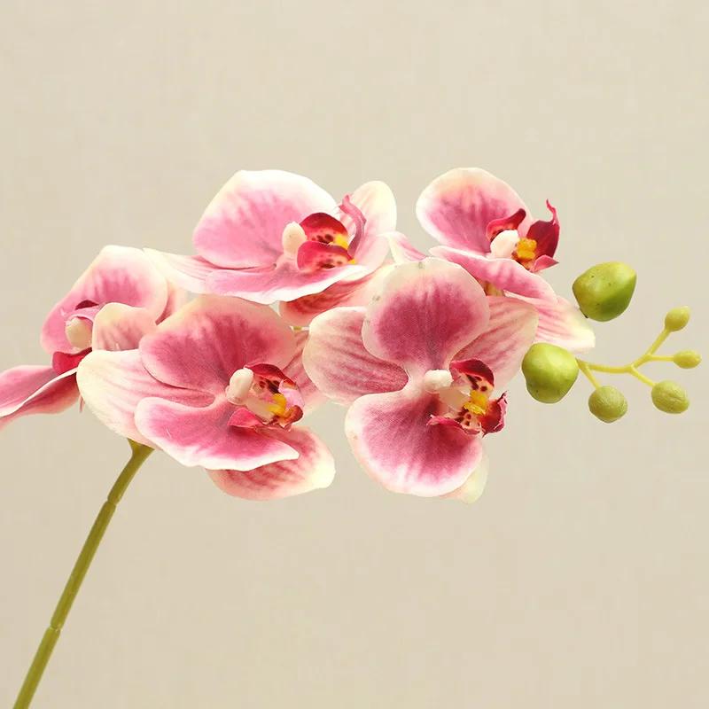 1pc Artificial Flowers 5 Heads Phalaenopsis Decoration Fake Flower Simulation White Phalaenopsises Branch
1pc Artificial Flowers 5 Heads Phalaenopsis Decoration Fake Flower Simulation White Phalaenopsises Branch