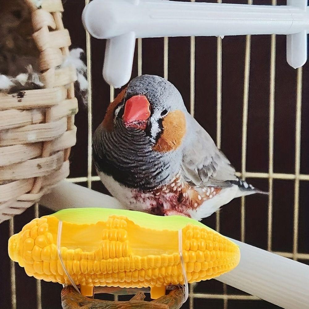 Creative Parrot Feeding Bowl Fruit-Shaped Parrot Food Water Bowl Bird Cage Feeder Parakeet Orange
Creative Parrot Feeding Bowl Fruit-Shaped Parrot Food Water Bowl Bird Cage Feeder Parakeet Orange