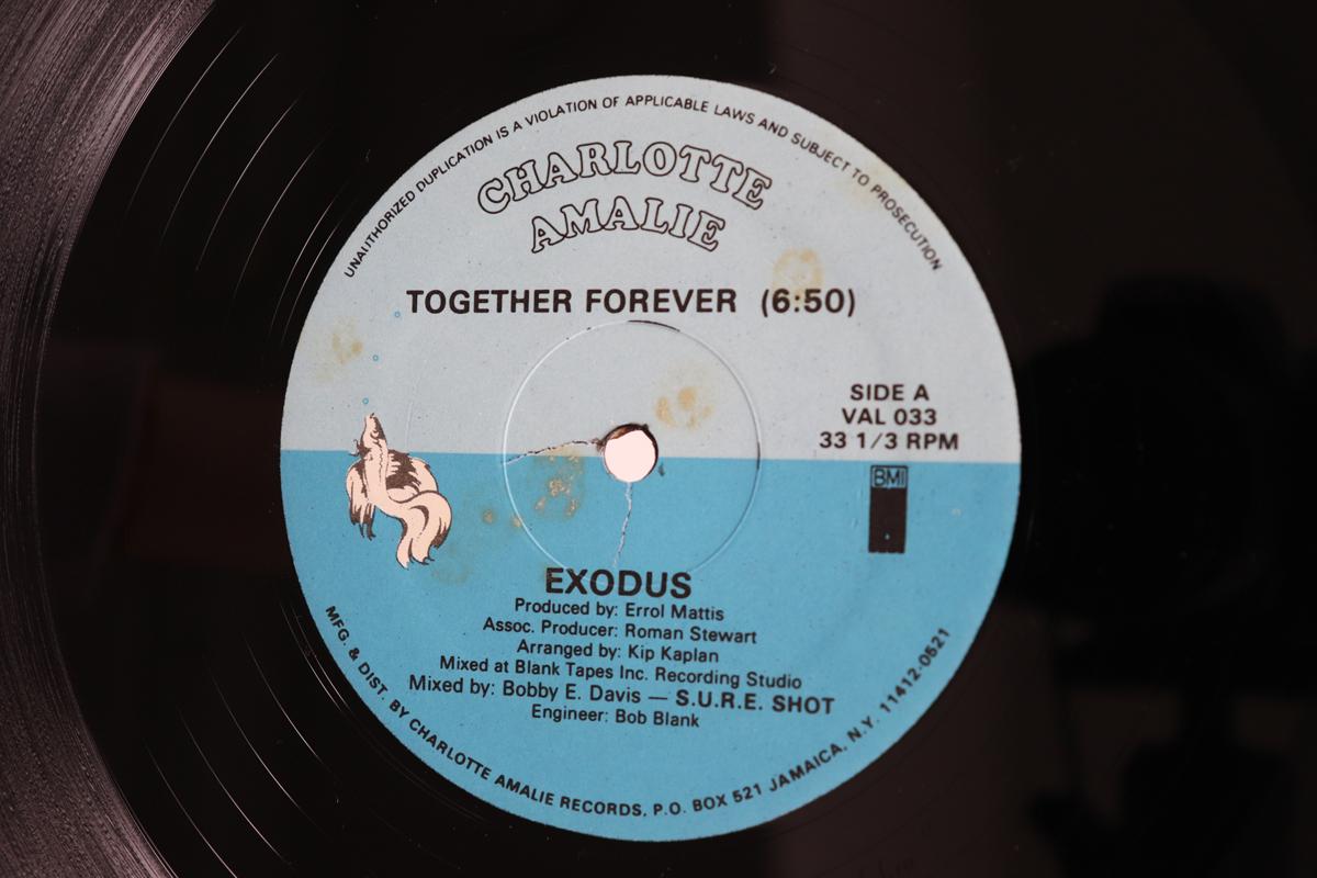 12-дюймовая пластинка EXODUS Together Forever VAL033 CHARLOTTE AMALI 1982 США Танцевальная Электроника Б/у
12-дюймовая пластинка EXODUS Together Forever VAL033 CHARLOTTE AMALI 1982 США Танцевальная Электроника Б/у
