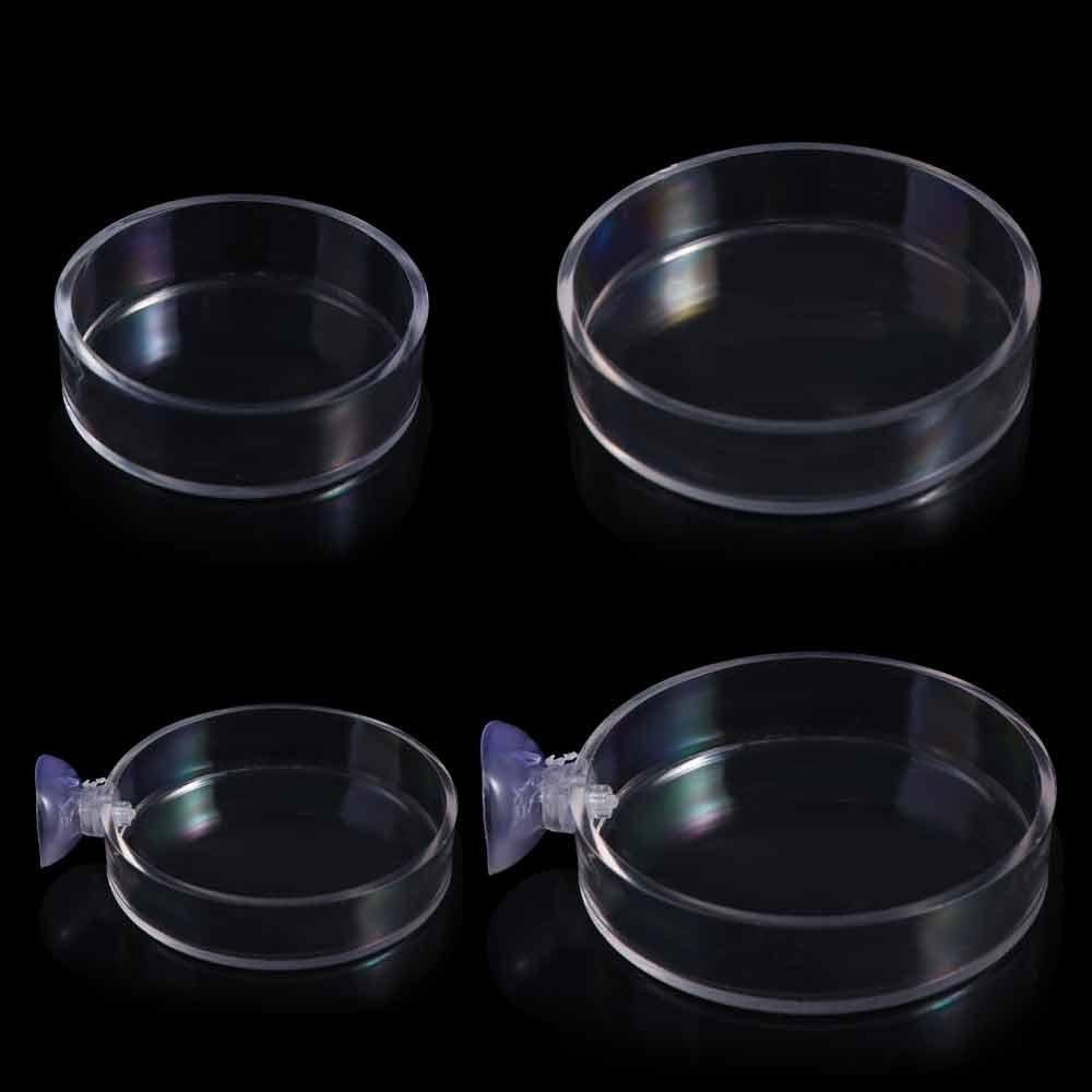 Accessories Durable Transparent Fish Feeding Bowl Fish Feeding Dish Shrimp Feeder Shrimp Food Box D
Accessories Durable Transparent Fish Feeding Bowl Fish Feeding Dish Shrimp Feeder Shrimp Food Box D