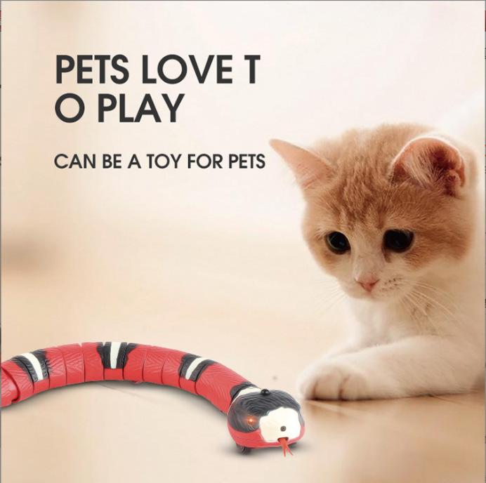 Smart Sensing Snake Cat Toys Интерактивный автоматический Eletronic Snake Cat Teaser USB-зарядка Аксессуары для кошек для кошек Собаки Игрушки для кошек красный
Smart Sensing Snake Cat Toys Интерактивный автоматический Eletronic Snake Cat Teaser USB-зарядка Аксессуары для кошек для кошек Собаки Игрушки для кошек красный