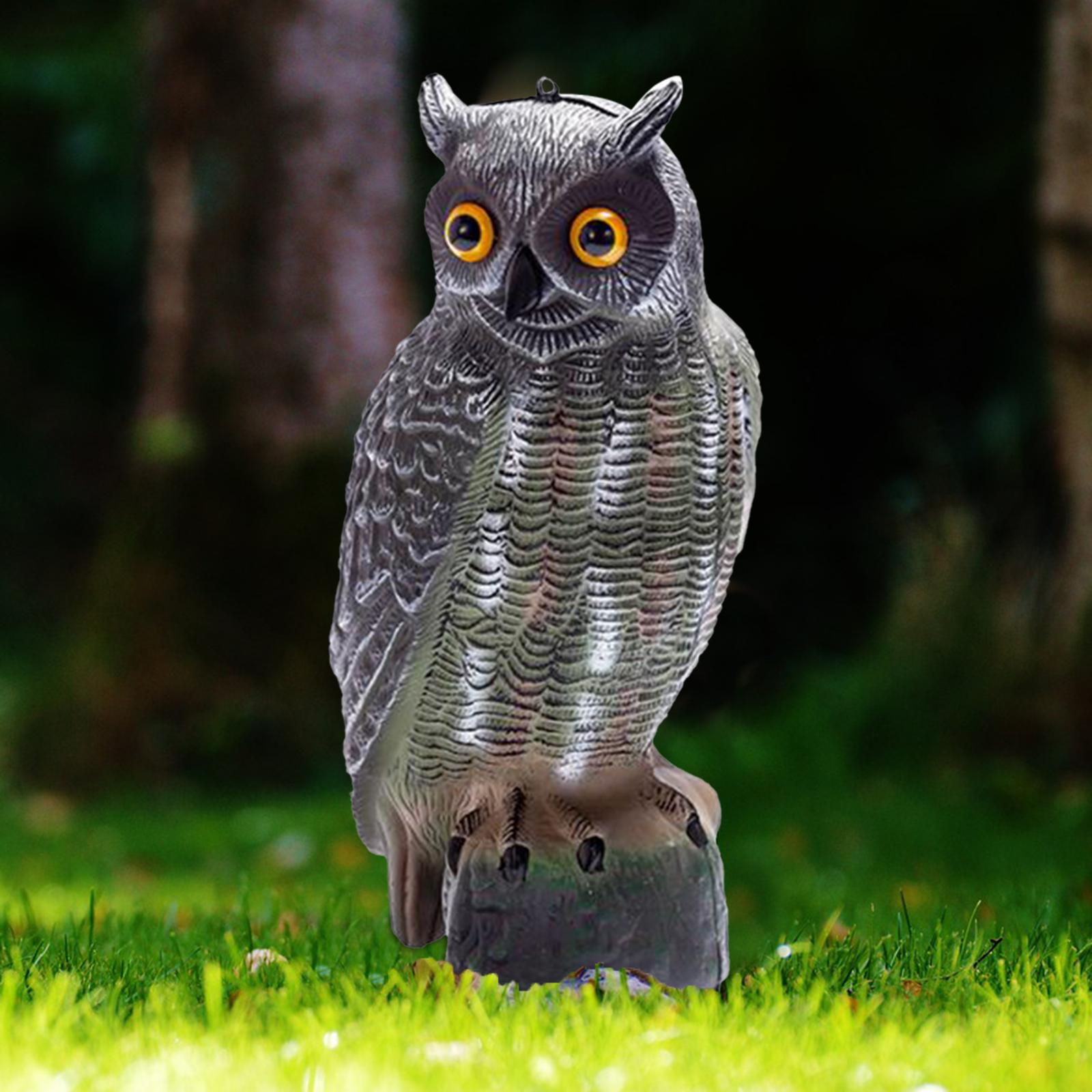 Realistic Owl Decoy Realistic Owl Garden Statue Decoration Fake Bird Owl Scarecrow Decoy for Rooftops Outdoor Garden Yard Patios
Realistic Owl Decoy Realistic Owl Garden Statue Decoration Fake Bird Owl Scarecrow Decoy for Rooftops Outdoor Garden Yard Patios