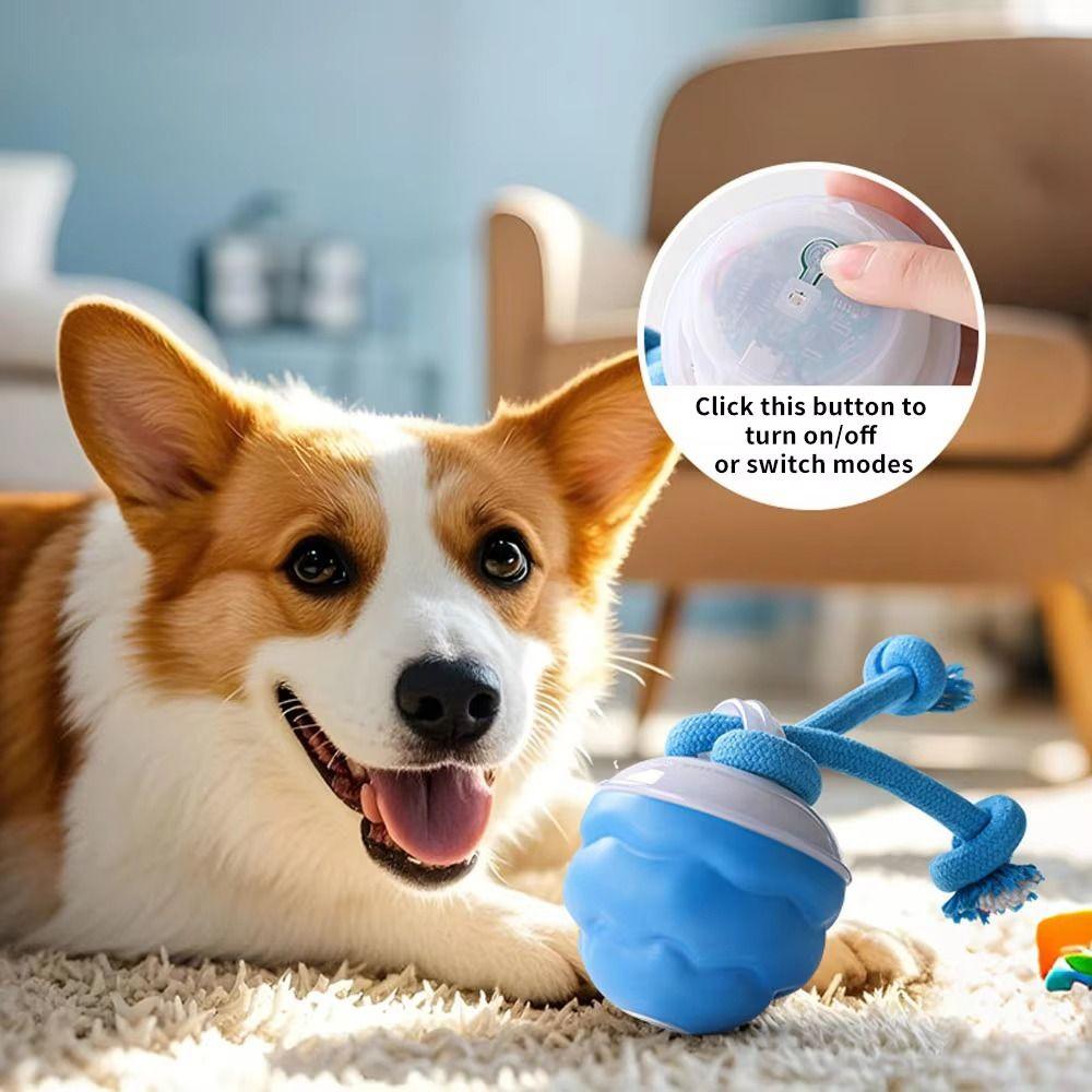 LED Lighting Electric Dog Toy Ball Bite Resistant Dog Interactive Ball Small/medium Dogs синій
LED Lighting Electric Dog Toy Ball Bite Resistant Dog Interactive Ball Small/medium Dogs синій