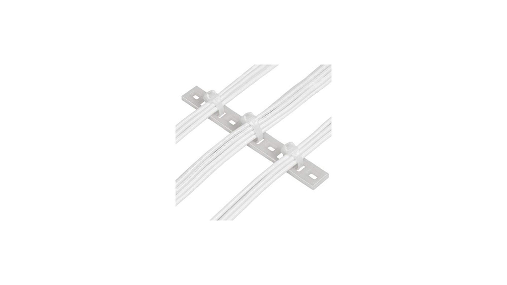 Panduit Fixture Multi-Type Plate MTP4H-E6-C
Panduit Fixture Multi-Type Plate MTP4H-E6-C