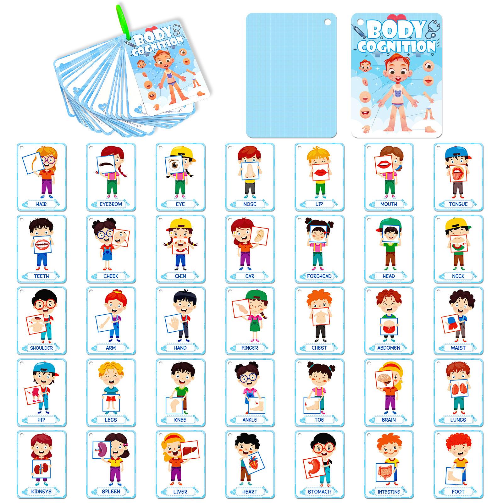 36 Body Cognitive Cards Children S Enlightenment Education Educational Cognitive Cards Education Cards
36 Body Cognitive Cards Children S Enlightenment Education Educational Cognitive Cards Education Cards