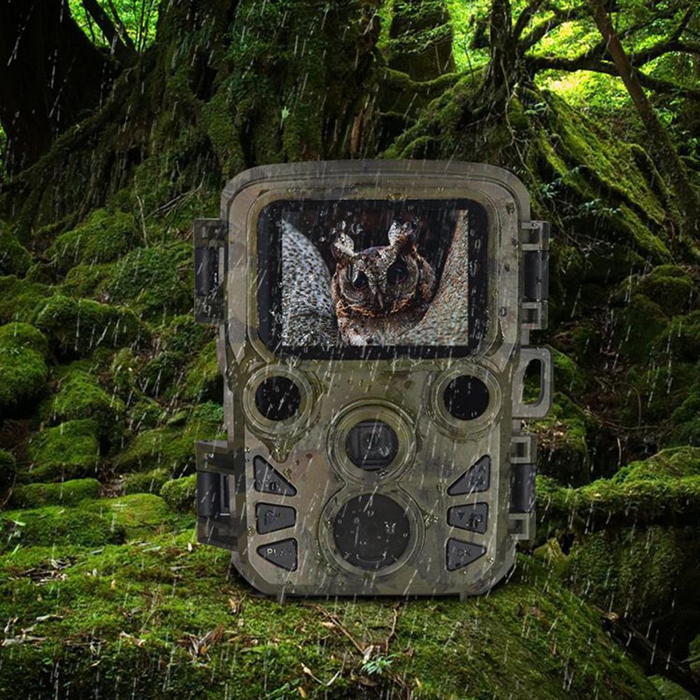 Камера Камера для охотничьей тропы 4k 21mp Оборудование Пластик + металл Водонепроницаемый Бренд Прочный Высокое качество Практичный
Камера Камера для охотничьей тропы 4k 21mp Оборудование Пластик + металл Водонепроницаемый Бренд Прочный Высокое качество Практичный