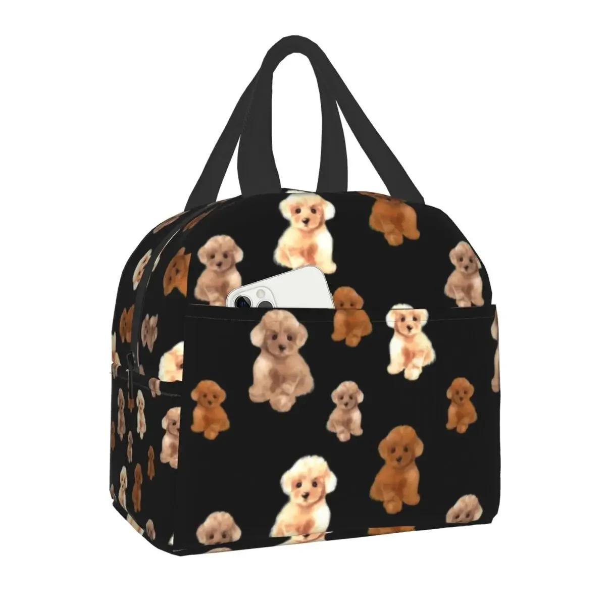 Портативний обідній бокс Teacup Poodle Dog для жінок, багатофункціональний тепловий охолоджувач для домашніх тварин, ізольований обідній мішок для офісної роботи 22x20x13CM бежевий
Портативний обідній бокс Teacup Poodle Dog для жінок, багатофункціональний тепловий охолоджувач для домашніх тварин, ізольований обідній мішок для офісної роботи 22x20x13CM бежевий