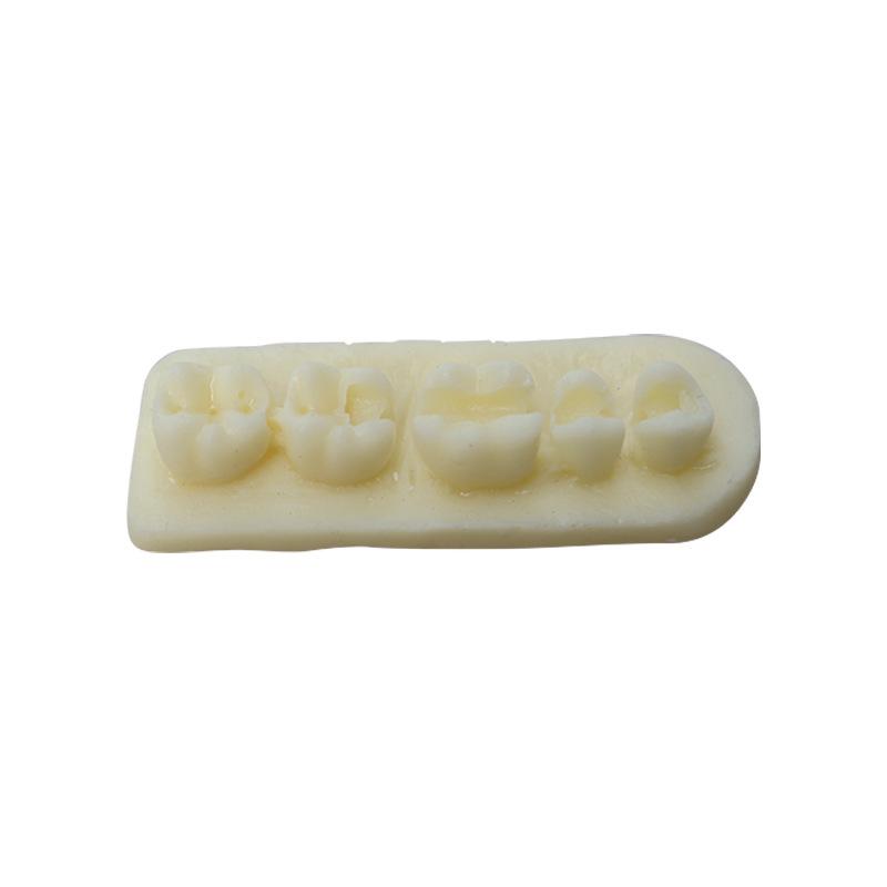 1PCS Resin Tooth Morphology Practice Model Root Canal Filling Inlay Resin Module For Dental Teaching Training Resin Model Tool
1PCS Resin Tooth Morphology Practice Model Root Canal Filling Inlay Resin Module For Dental Teaching Training Resin Model Tool