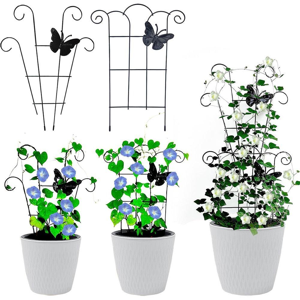 Black Garden Trellis Metal Plant Support Stake Stand Creative Climbing Plant Trellis Indoor A
Black Garden Trellis Metal Plant Support Stake Stand Creative Climbing Plant Trellis Indoor A