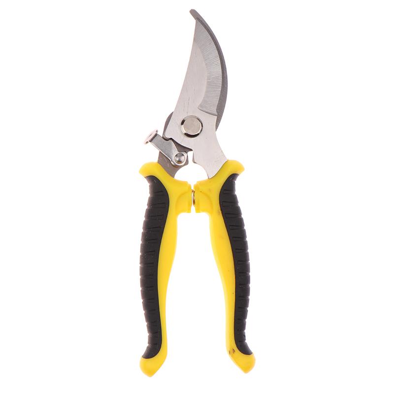Horticultural Scissors Bird Beak Shape Branch Pruning Labor Saving Pruning Multifunctional Stainless Steel Picking Fruit Scissor
Horticultural Scissors Bird Beak Shape Branch Pruning Labor Saving Pruning Multifunctional Stainless Steel Picking Fruit Scissor