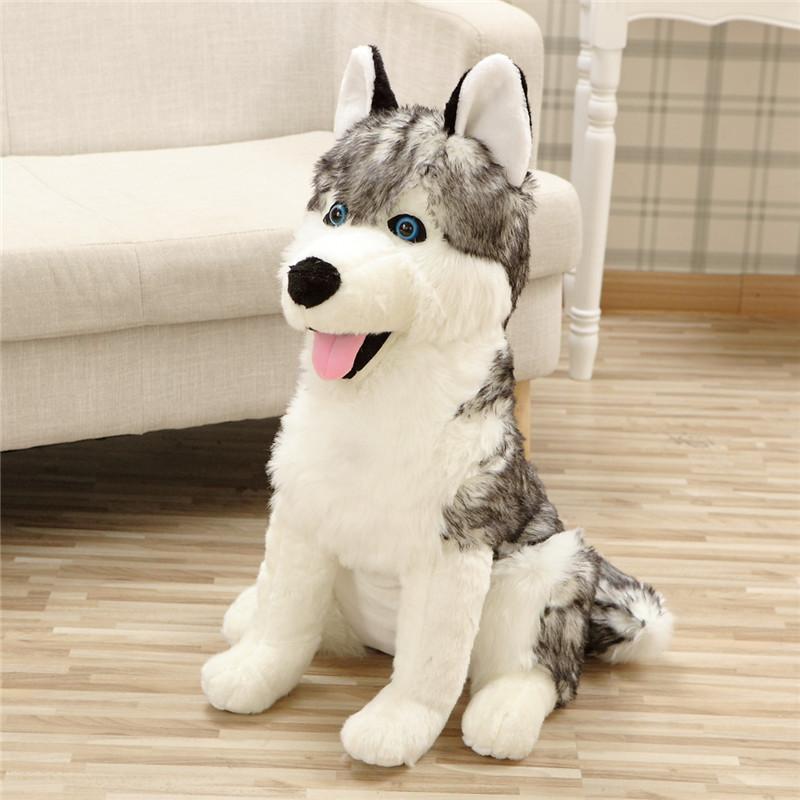 Simulation wolf dog Erha doll plush toy puppy dog husky doll children boy soothing rag doll 40cm(0.3kg)
Simulation wolf dog Erha doll plush toy puppy dog husky doll children boy soothing rag doll 40cm(0.3kg)