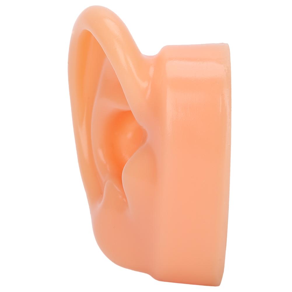 Silicone Right Ear Model Simulation Artificial Ear Display Model for Hearing Aids
Silicone Right Ear Model Simulation Artificial Ear Display Model for Hearing Aids