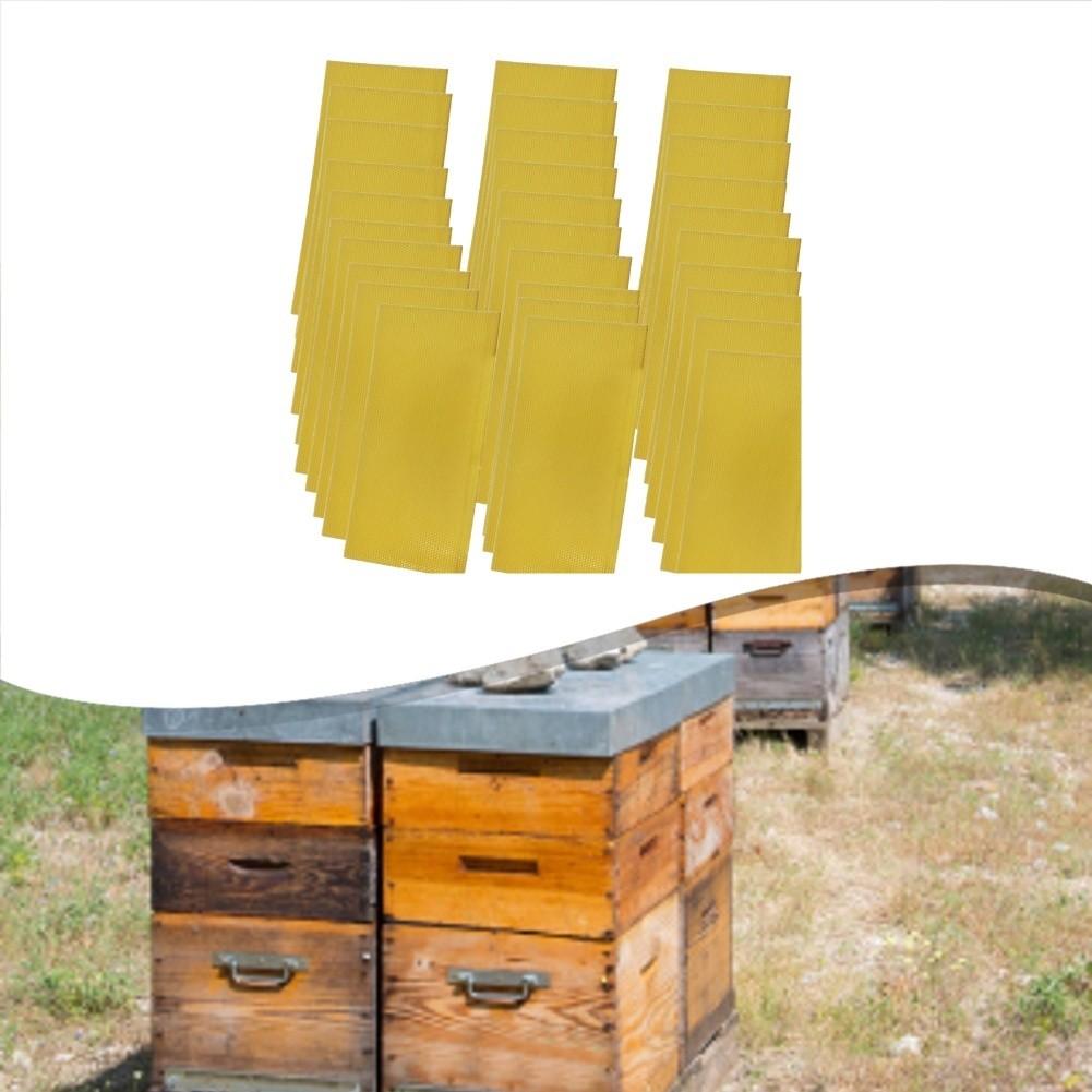 30 Pieces Beeswax For Honeycomb Sheets For Bee Foundation Accessories Simple Installation Garden Supplies China Mainland
30 Pieces Beeswax For Honeycomb Sheets For Bee Foundation Accessories Simple Installation Garden Supplies China Mainland