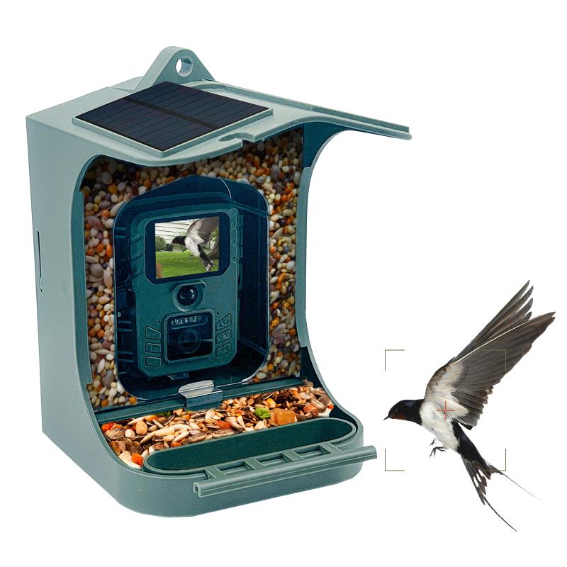 Solar Powered 1080P Wireless WiFi Smart Bird Feeder Camera Waterproof Bird Watching Camera Hunting Camera Trail camera зелений
Solar Powered 1080P Wireless WiFi Smart Bird Feeder Camera Waterproof Bird Watching Camera Hunting Camera Trail camera зелений