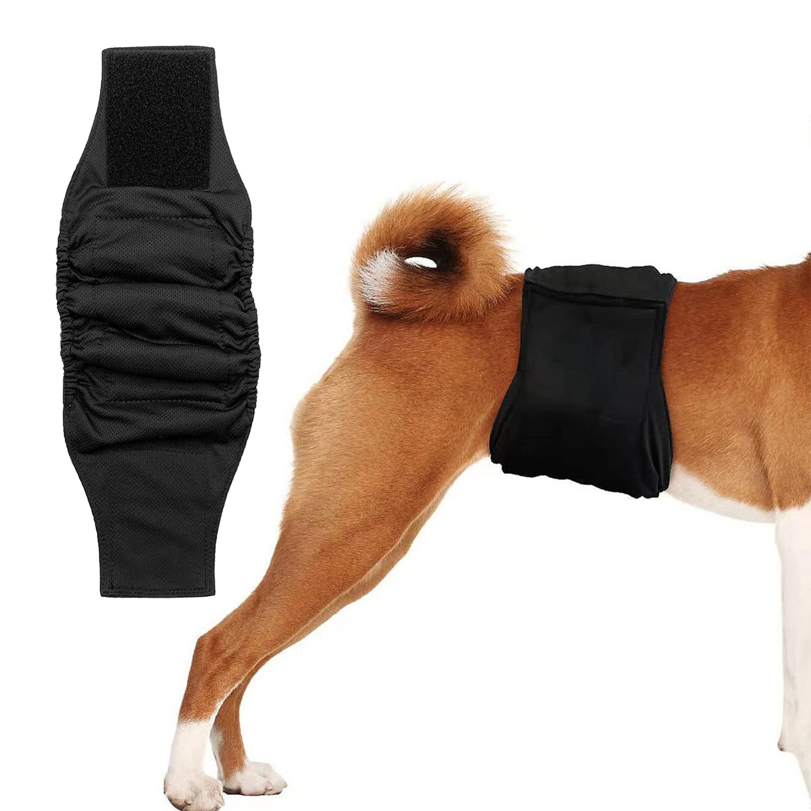 KUVEELA PET Подгузник-пояс для кобелей, для и Подходящий для сезона течки, Собак, Дышащий, Впитывающий, Многоразовый, Прогулки, Выходы, В помещении, чёрный
KUVEELA PET Подгузник-пояс для кобелей, для и Подходящий для сезона течки, Собак, Дышащий, Впитывающий, Многоразовый, Прогулки, Выходы, В помещении, чёрный