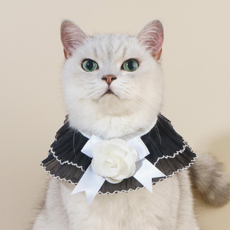 Xiaoxiangfeng pet scarf, camellia cat bib jewelry, little duke cat and dog bow tie.
Xiaoxiangfeng pet scarf, camellia cat bib jewelry, little duke cat and dog bow tie.