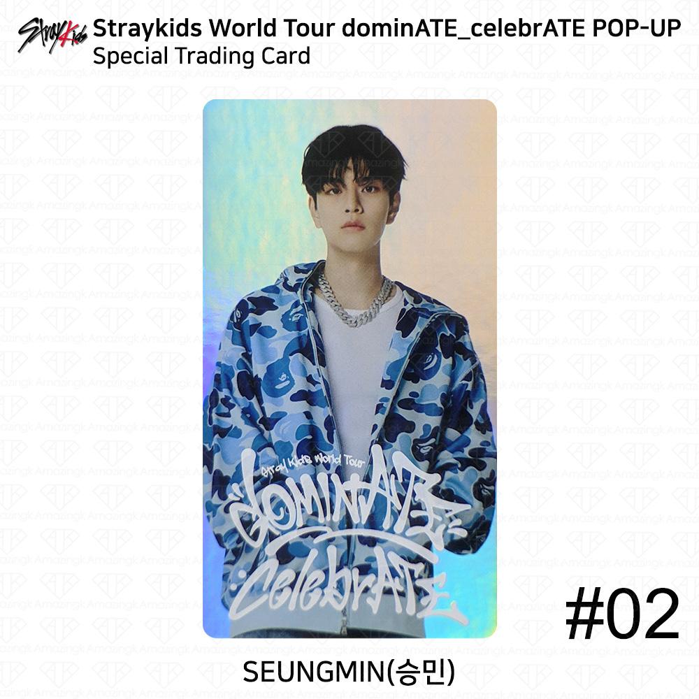Stray Kids Мировой тур DominATE CelebrATE POP-UP Специальная торговая карта KPOP K-POP Seungmin #2
Stray Kids Мировой тур DominATE CelebrATE POP-UP Специальная торговая карта KPOP K-POP Seungmin #2