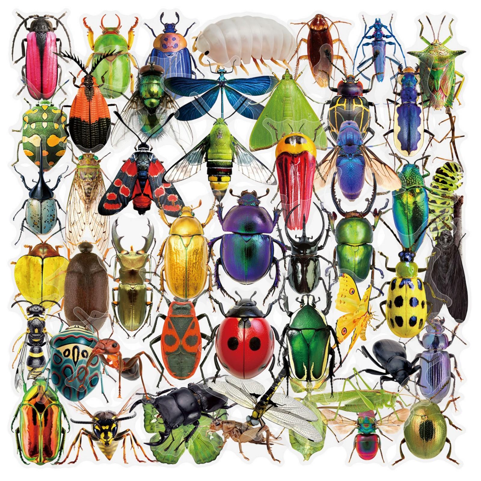 Insect Stickers Set with Various Detailed Designs Realistic Bug Decals for Crafts Scrapbooking Journals and Educational Use Durable PET Material
Insect Stickers Set with Various Detailed Designs Realistic Bug Decals for Crafts Scrapbooking Journals and Educational Use Durable PET Material