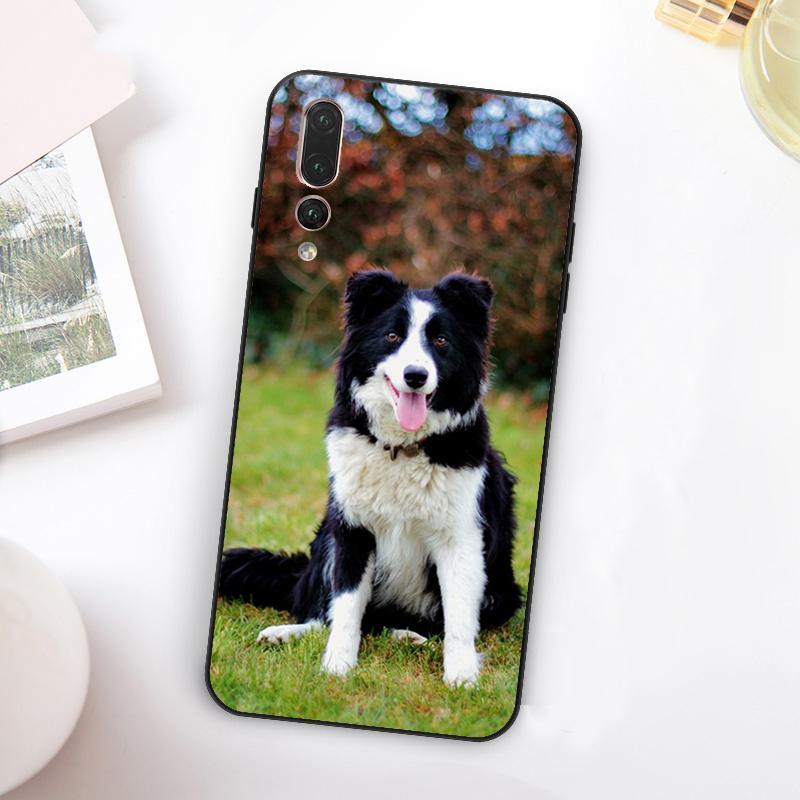Border Collie Dog For Huawei Nova 11 10 9 SE Y70 Y60 Y90 Y61 Y91 Y73 Y72 12i 11i 8i P30 P40 Lite P60 Pro Case Huawei P30 Lite
Border Collie Dog For Huawei Nova 11 10 9 SE Y70 Y60 Y90 Y61 Y91 Y73 Y72 12i 11i 8i P30 P40 Lite P60 Pro Case Huawei P30 Lite