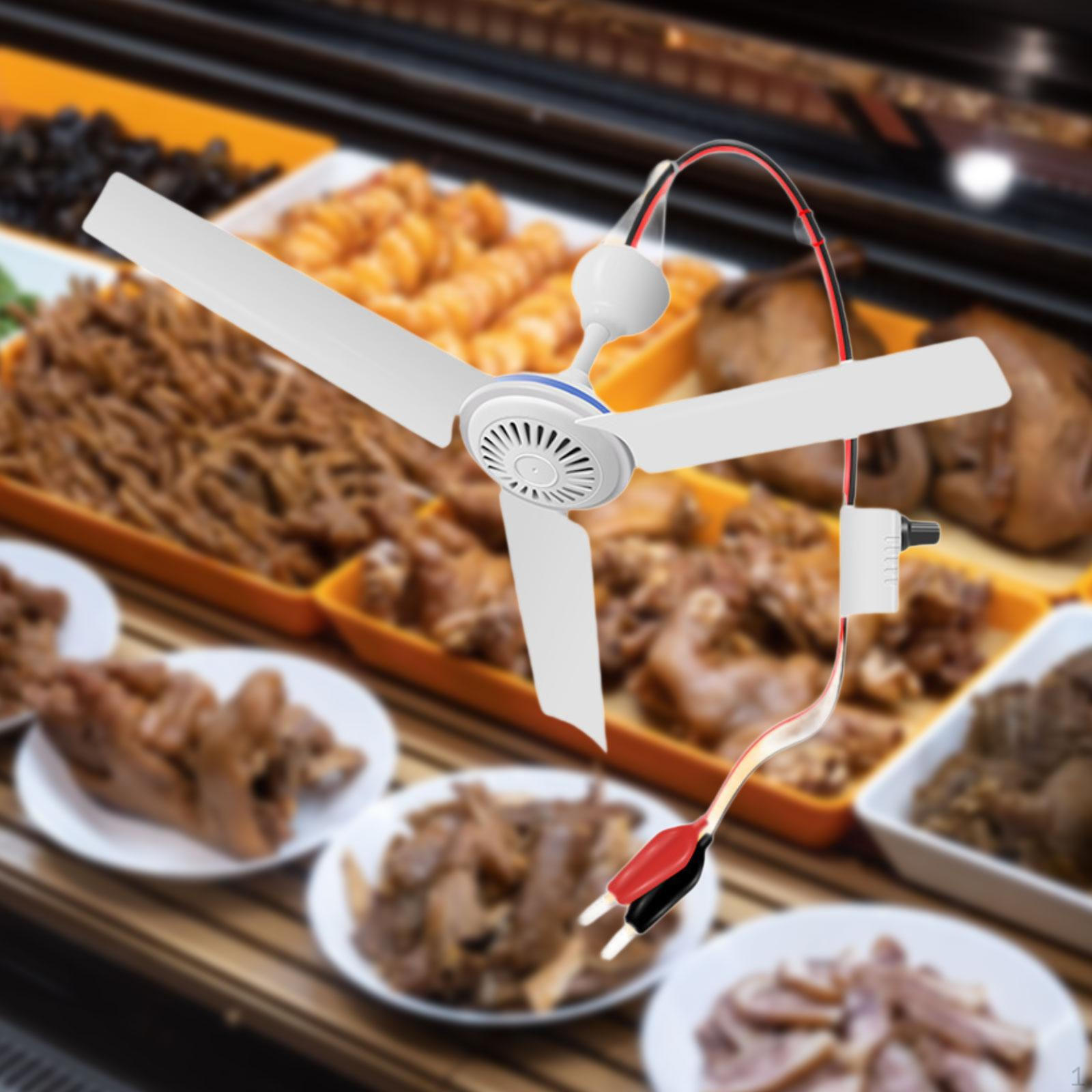 12V Portable Ceiling Fan with Silent Motor, Adjustable Ventilation, Easy Installation, Made of PP, B
12V Portable Ceiling Fan with Silent Motor, Adjustable Ventilation, Easy Installation, Made of PP, B