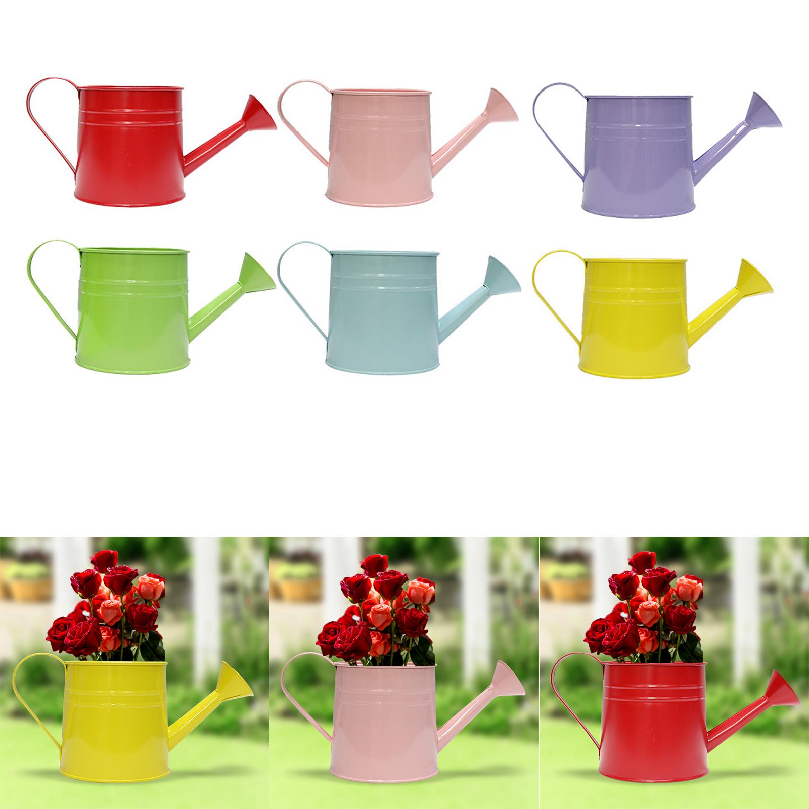 Vintage Iron Watering Can Planter Charming Rustic Metal Container Perfect as a Flower Pot or Office Decoration светло-синий
Vintage Iron Watering Can Planter Charming Rustic Metal Container Perfect as a Flower Pot or Office Decoration светло-синий