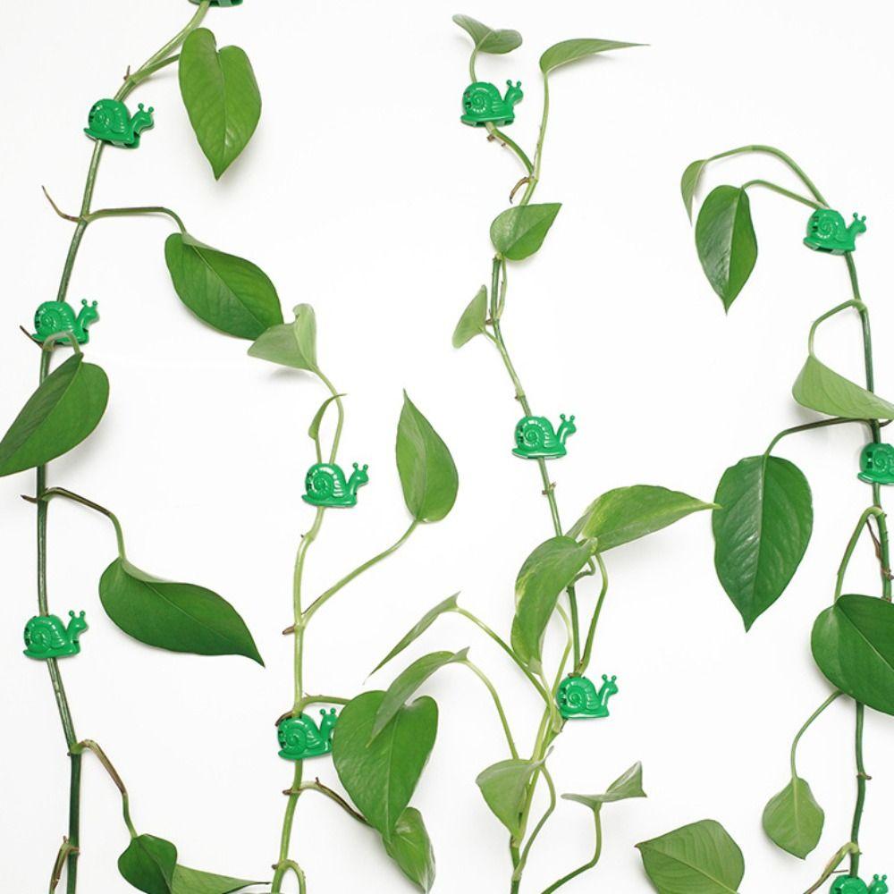 Hook Wall Rattan Clamp Plant Grafting Clips Wall Vines Fixation Plants Bracket Flowers Holder Hooks
Hook Wall Rattan Clamp Plant Grafting Clips Wall Vines Fixation Plants Bracket Flowers Holder Hooks