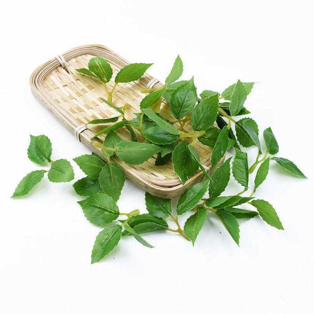 Ornaments Potted Birthday Cake Candy Box Home Decor Wedding Gifts Artificial Plants Rose Leaves
Ornaments Potted Birthday Cake Candy Box Home Decor Wedding Gifts Artificial Plants Rose Leaves