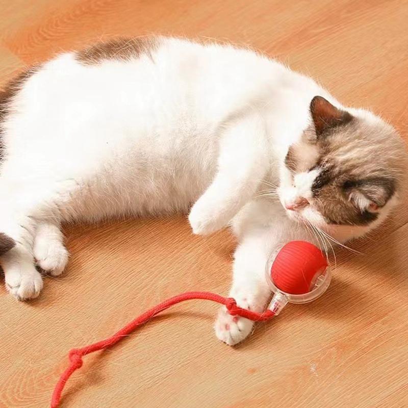 Chewie Viral Rolling Ball With LED Lamp Smart Dog Ball Toy Interactive Cat Squeak Toy Smart Automatic Rolling Pet Ball зелёный
Chewie Viral Rolling Ball With LED Lamp Smart Dog Ball Toy Interactive Cat Squeak Toy Smart Automatic Rolling Pet Ball зелёный