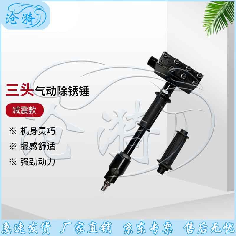 Industrial Pneumatic Rust Removal Hammer
Industrial Pneumatic Rust Removal Hammer